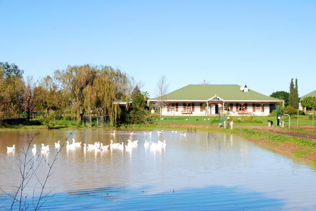 Hoopenburg Guesthouse Stellenbosch Exterior photo